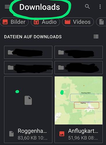 Screenshot_20250709-100507_Files~2